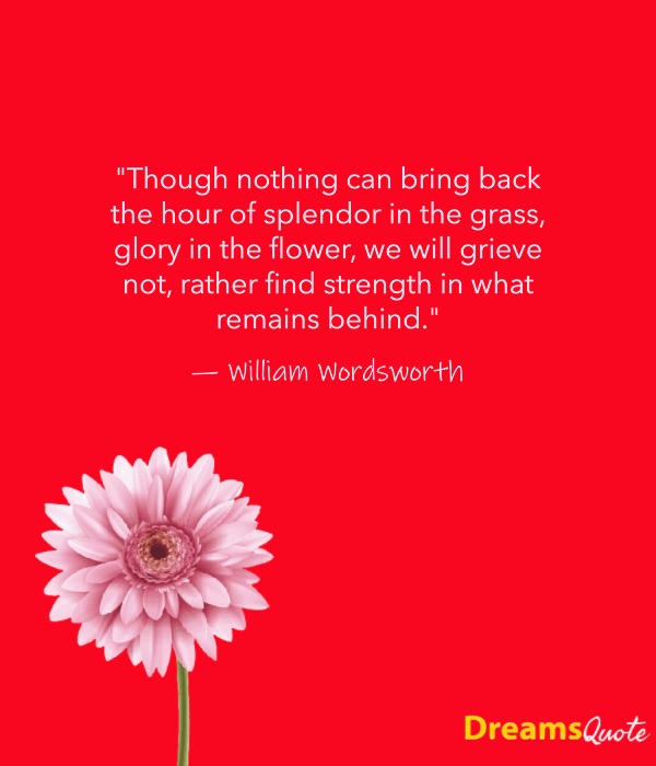 Inspirational Death Anniversary Quotes for a Deceased Younger Brother