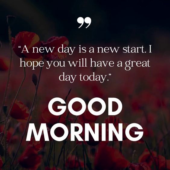Morning encouragement for life Morning encouragement for life