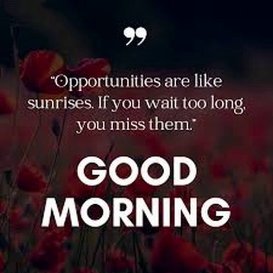 Morning quotes for a fulfilling life Morning quotes for a fulfilling life