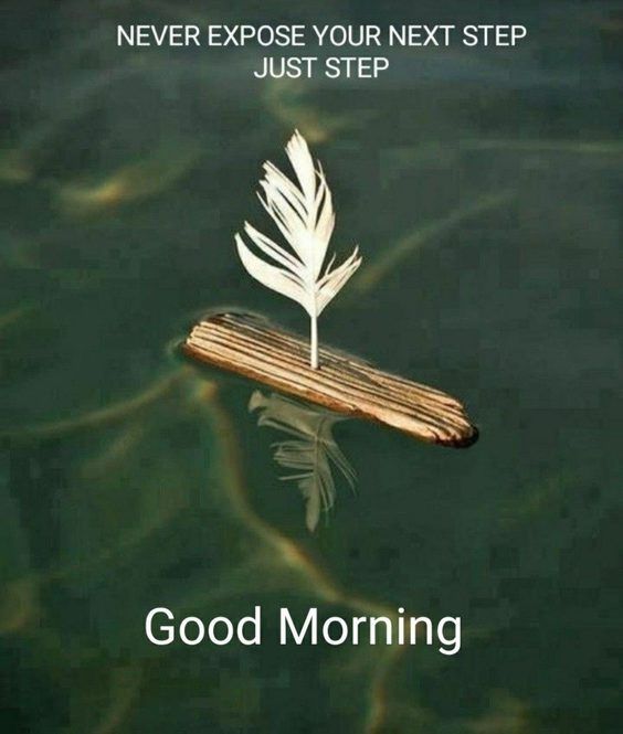 Positive Good Morning Quotes And Images 116 Positive Good Morning Quotes And Images 116