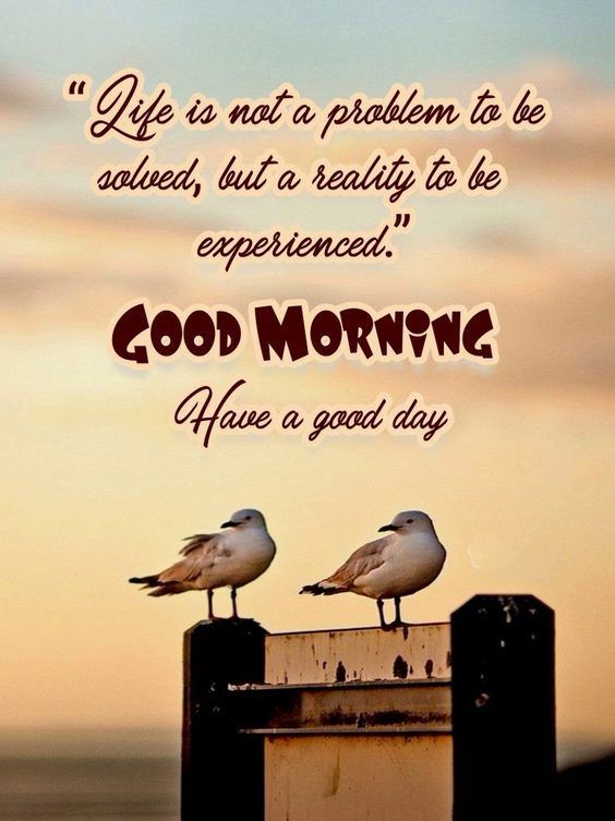 Positive Good Morning Quotes And Images 118 Positive Good Morning Quotes And Images 118