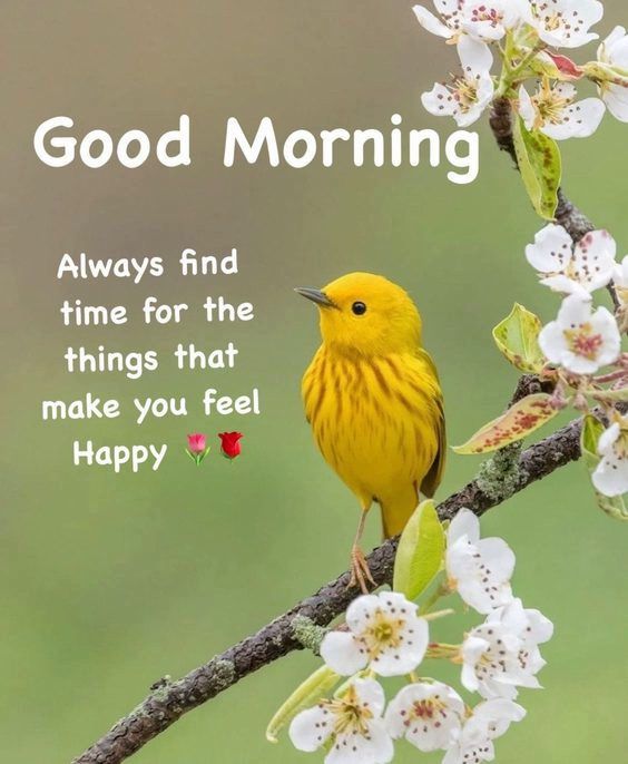 Positive Good Morning Quotes And Images 120 Positive Good Morning Quotes And Images 120