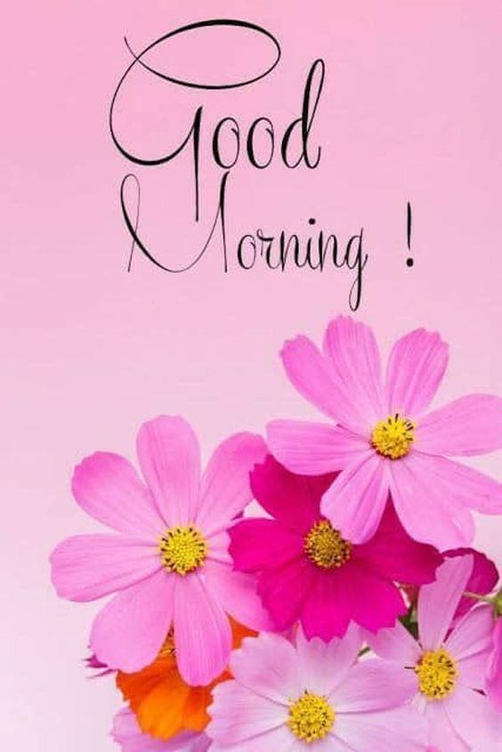 beautiful friday good morning quotes and images beautiful friday good morning quotes and images