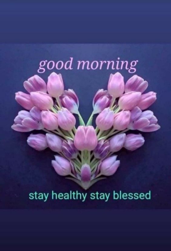 beautiful tuesday good morning quotes and images beautiful tuesday good morning quotes and images