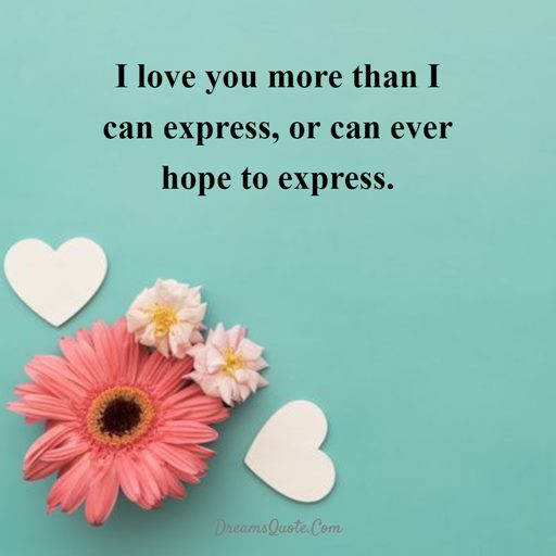 Heart Touching I Love You Quotes For Him 4