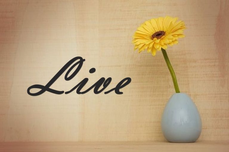 55 Best Quotes About Living Life to Live Dreams Quote