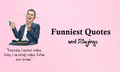 Funniest Quotes and Sayings