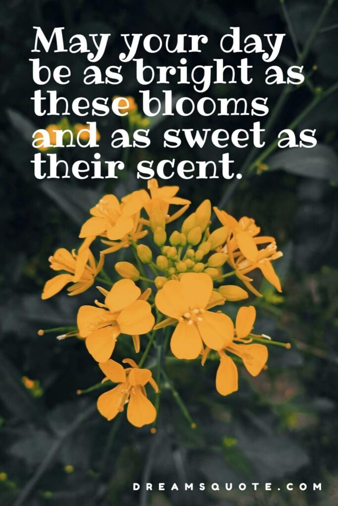 Good Morning Blessings and Prayers with Aesthetic Floral Backgrounds