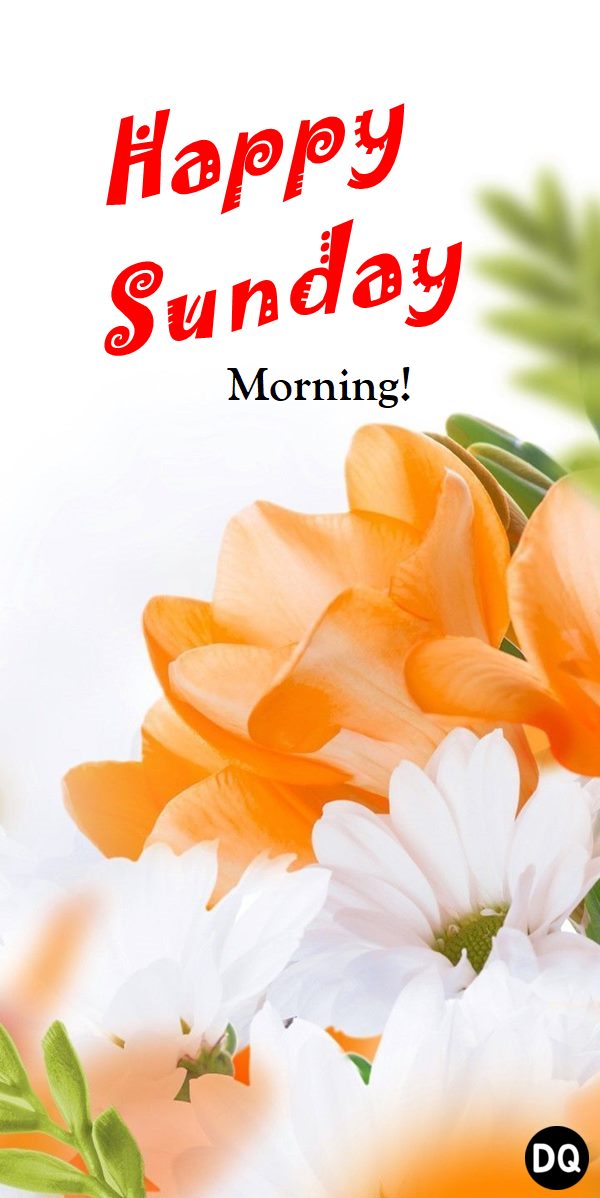 Good Morning Sunday Week Greetings Sunday greetings