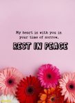 170+ Rest in Peace Messages: What to Write When You Can’t Find the ...