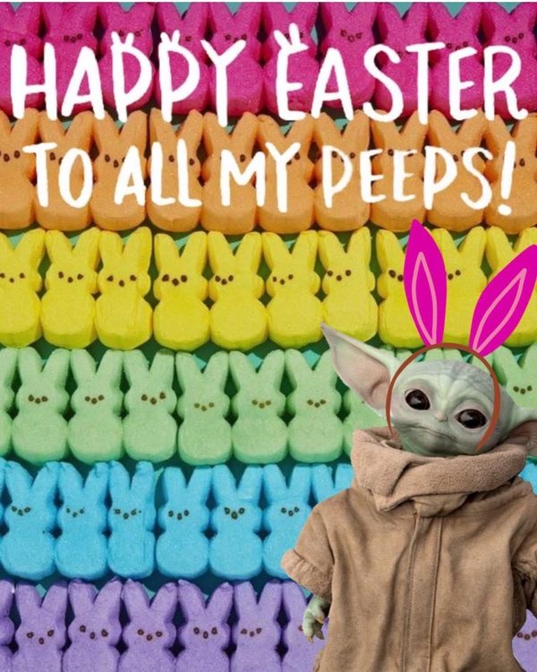 bunny memes and chocolate bunny meme