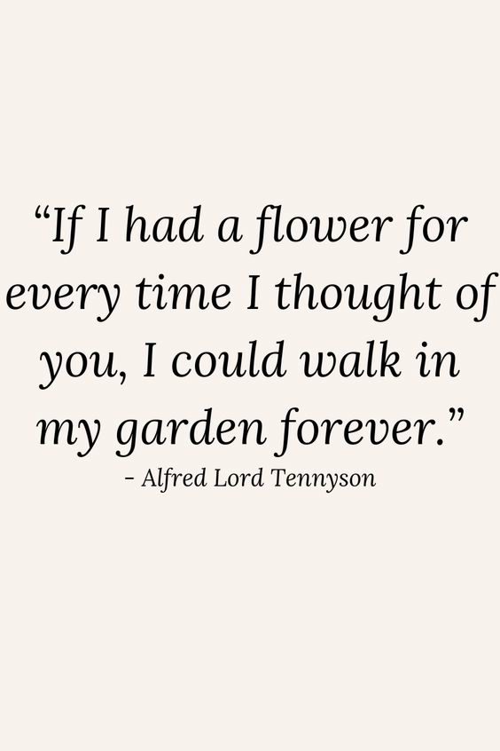 love quotes for her good morning love quotes for her good morning