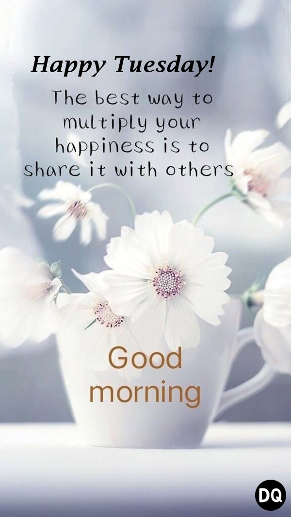 Good Morning Happy Tuesday Images – Morning Greetings – Morning Wishes
