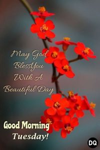 45 Happy Tuesday Morning Wishes - Quotes and Messages - Dreams Quote