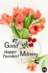 45 Happy Tuesday Morning Wishes - Quotes and Messages - Dreams Quote