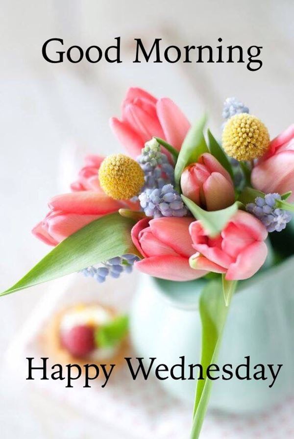Happy Wednesday Wishes and Messages Morning