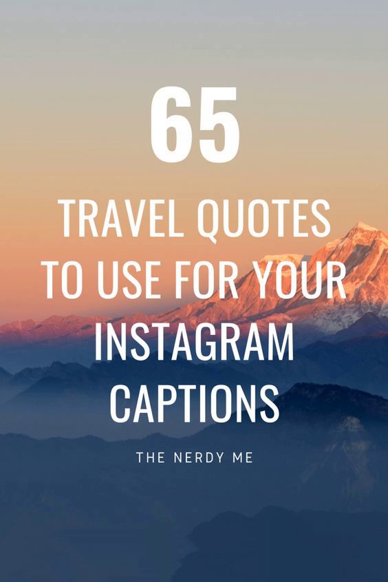 jungle travel quotes 1 jungle travel quotes 1