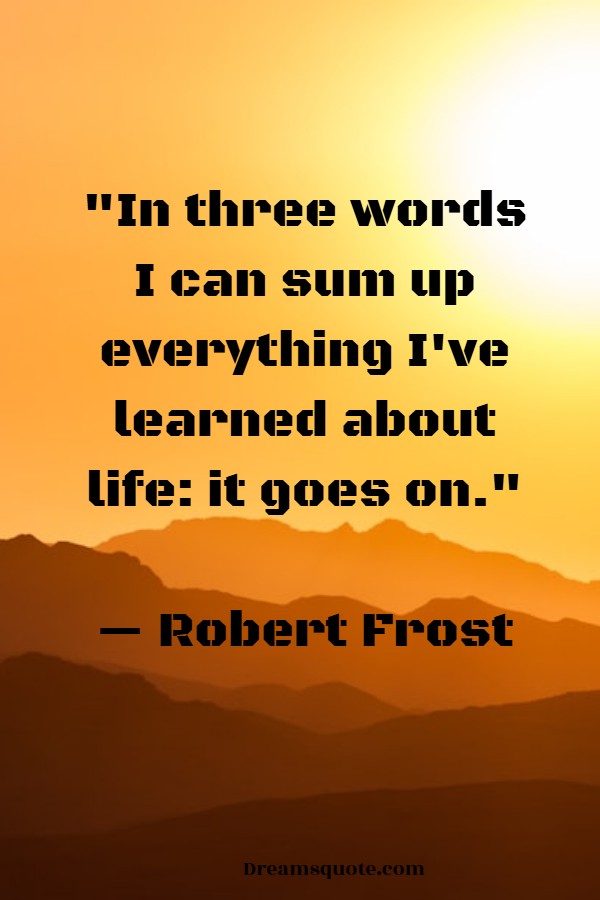 robert frost in three words i can sum up everything