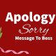 Apology Message To Boss – Sorry Messages