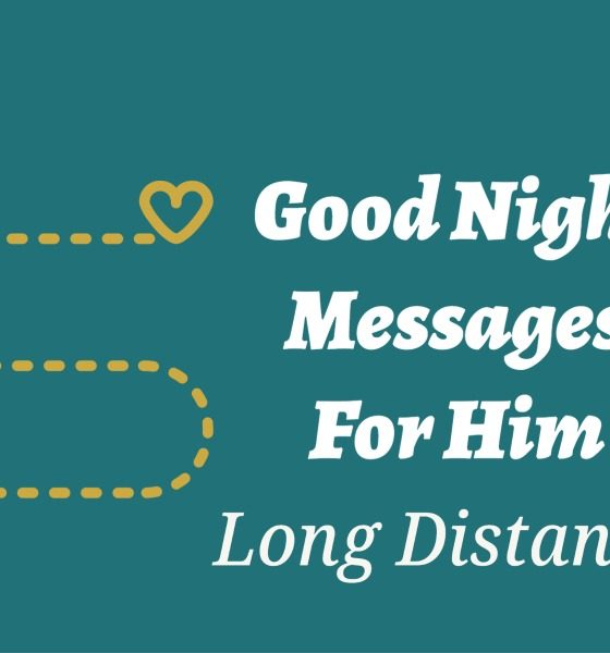 Long Distance Good Night Messages For Him