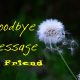 Goodbye Message to Friends Farewell Quotes