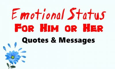 Deep Emotional Status For Him or Her