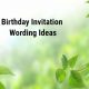 Birthday Invitation Wording Ideas