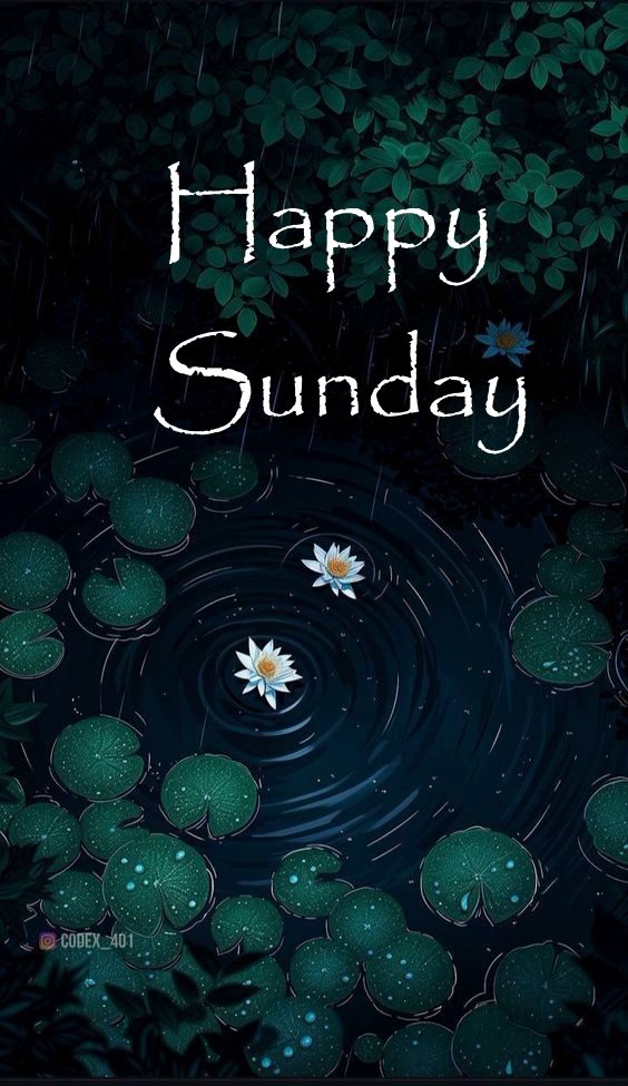 Beautiful Sunday Quotes and Images for a Blessed Day Beautiful Sunday Quotes and Images for a Blessed Day