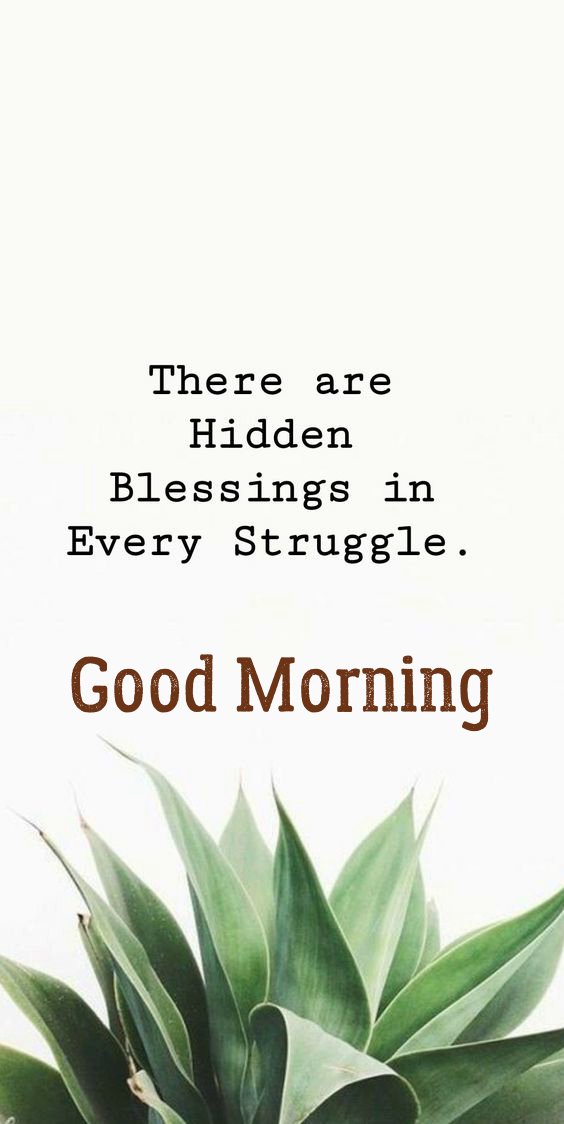 Good Morning Images with positive words for Friends
