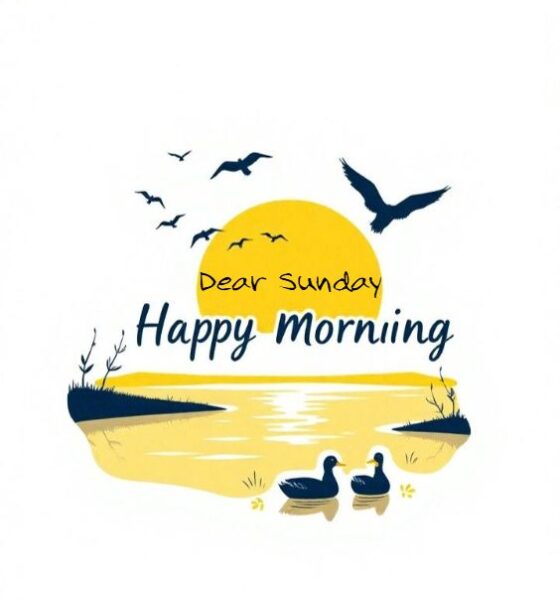 Happy Sunday Images 1