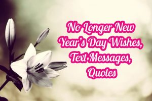 30 No Longer New Year’s Day Wishes, Text Messages, Quotes - Dreams Quote