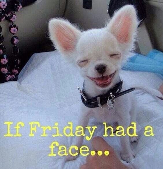 cold friday morning quotes cold friday morning quotes