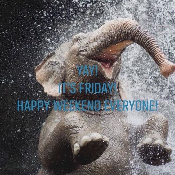 free download friday good morning images with quotes free download friday good morning images with quotes