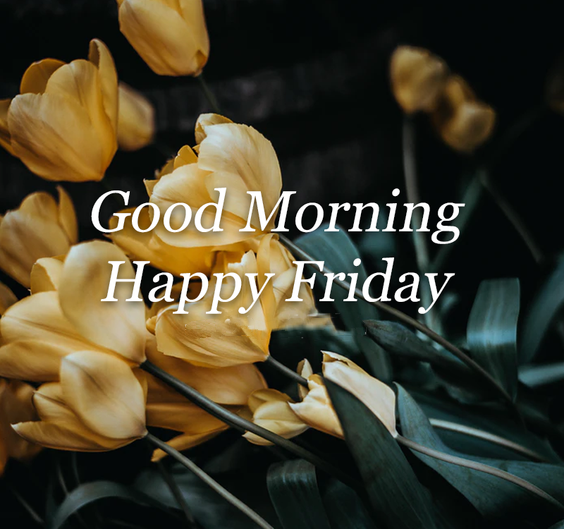 friday blessings kjv friday blessings kjv