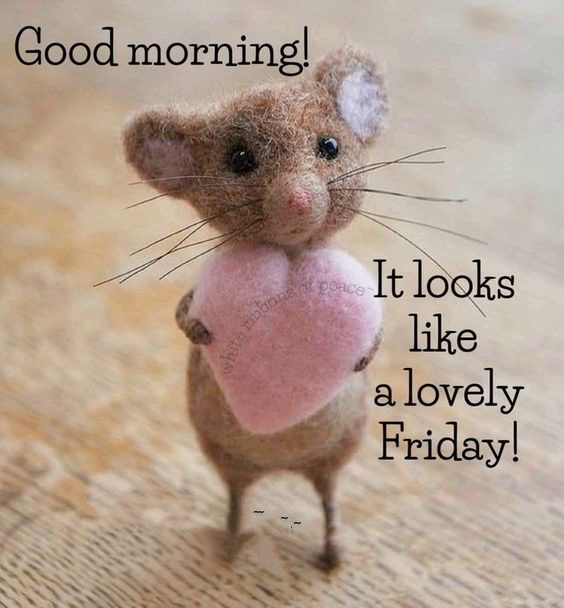 friday blessings lyrics friday blessings lyrics