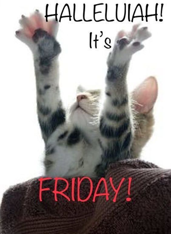 friday blessings new year friday blessings new year