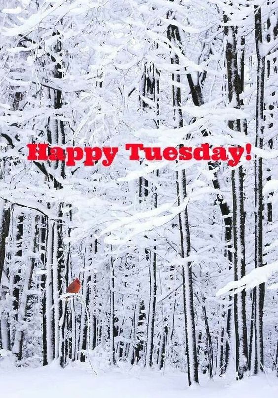 friday blessings winter friday blessings winter