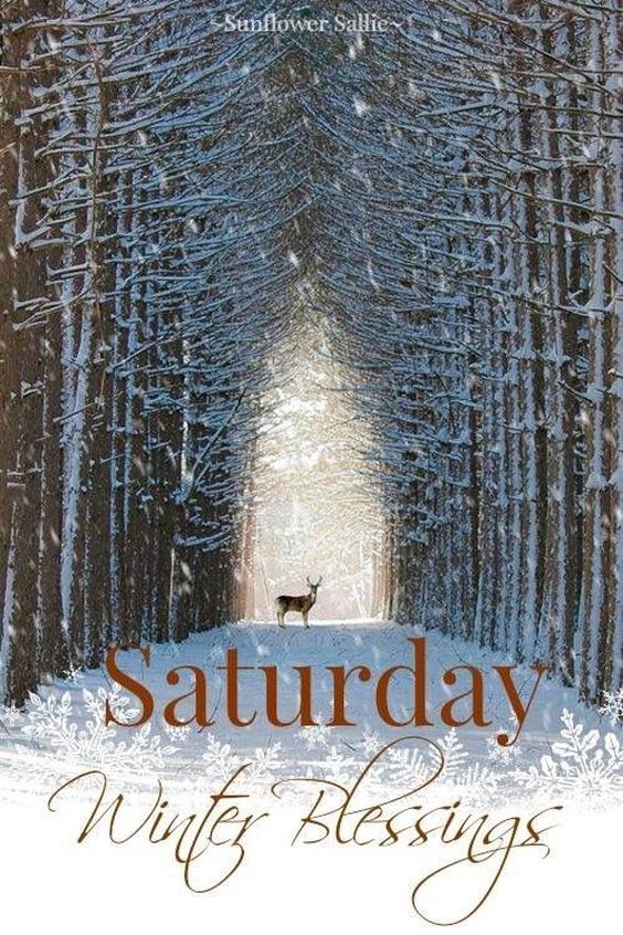 friday blessings friday blessings