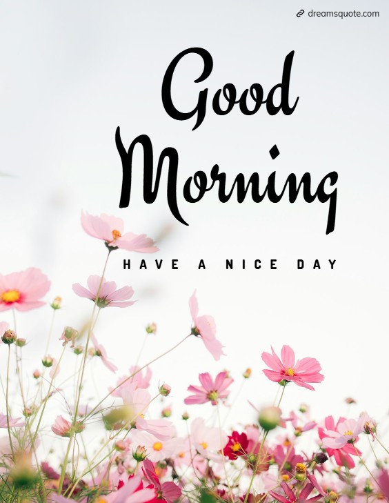 good morning quotes about have a nice day good morning quotes about have a nice day