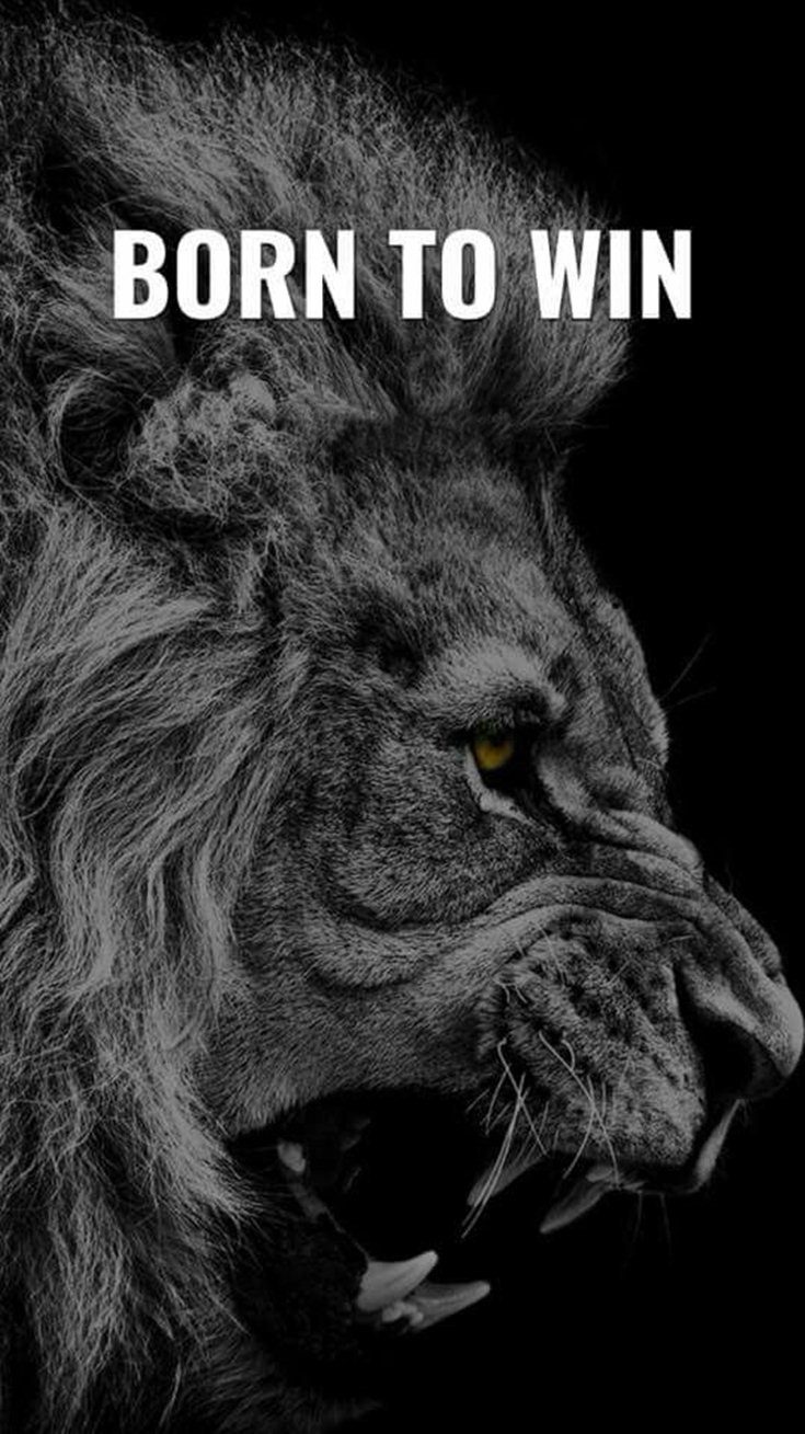 inspirational and motivational quotes about life and love inspirational and motivational quotes about life and love