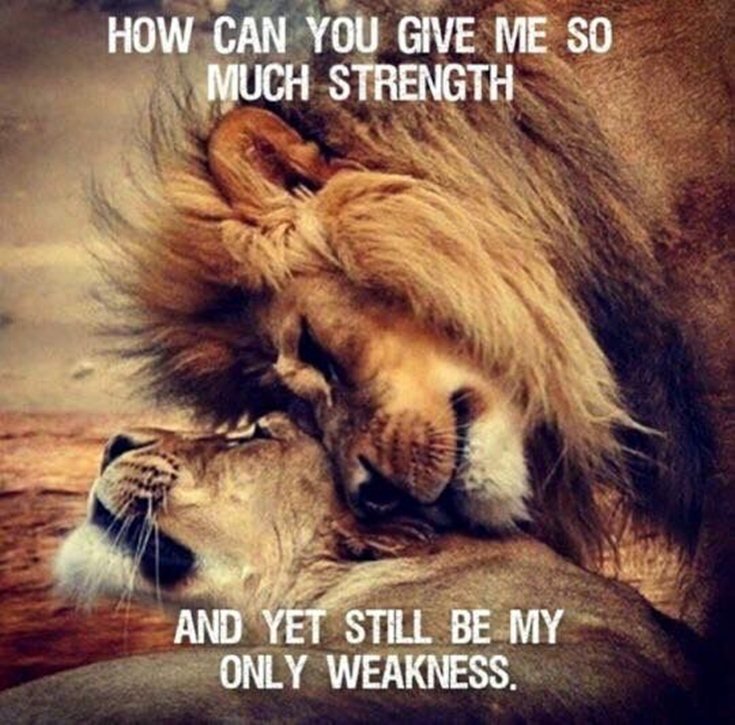 inspirational and motivational quotes gift inspirational and motivational quotes gift