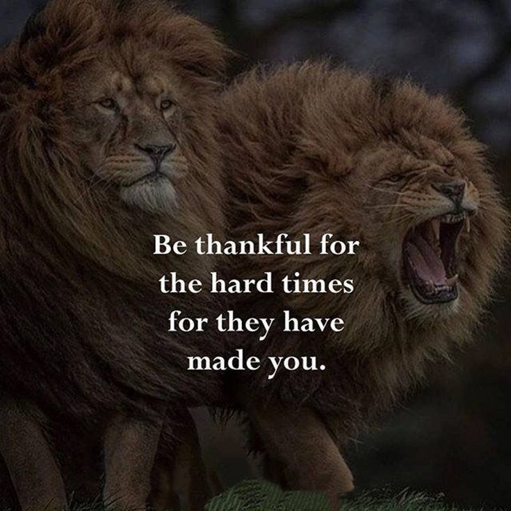 inspirational quotes about life and struggles motivational inspirational quotes about life and struggles motivational