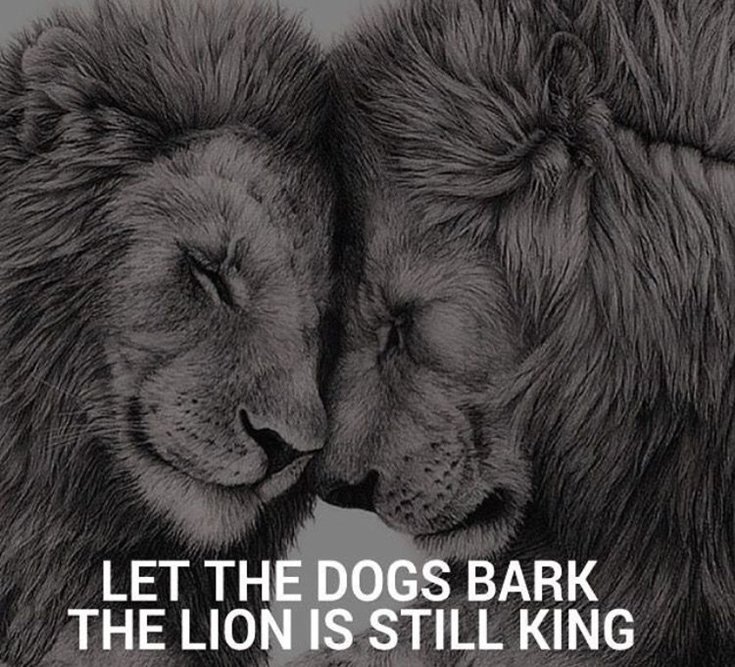 l inspirational quotes l inspirational quotes