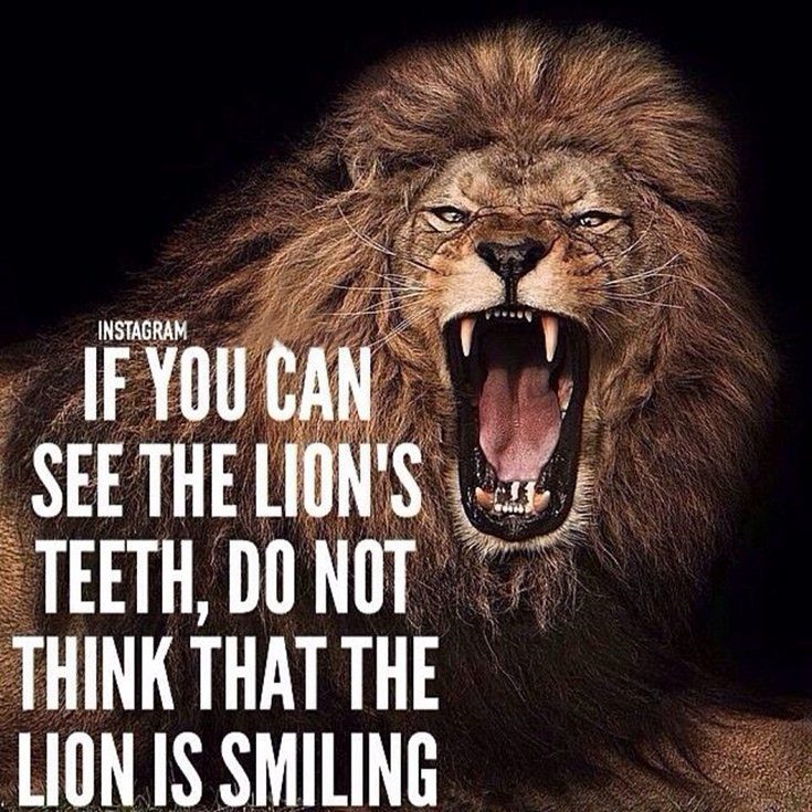 motivation inspirational cake quotes motivation inspirational cake quotes