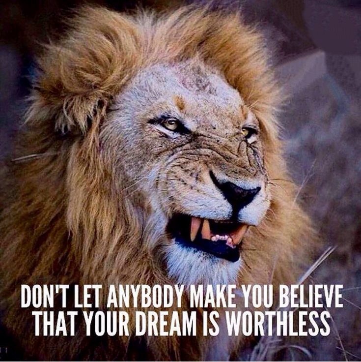 motivational and inspirational quotes for teachers motivational and inspirational quotes for teachers