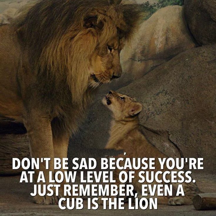motivational inspiring baseball quotes motivational inspiring baseball quotes