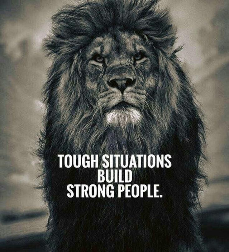 motivational quotes famous authors motivational quotes famous authors