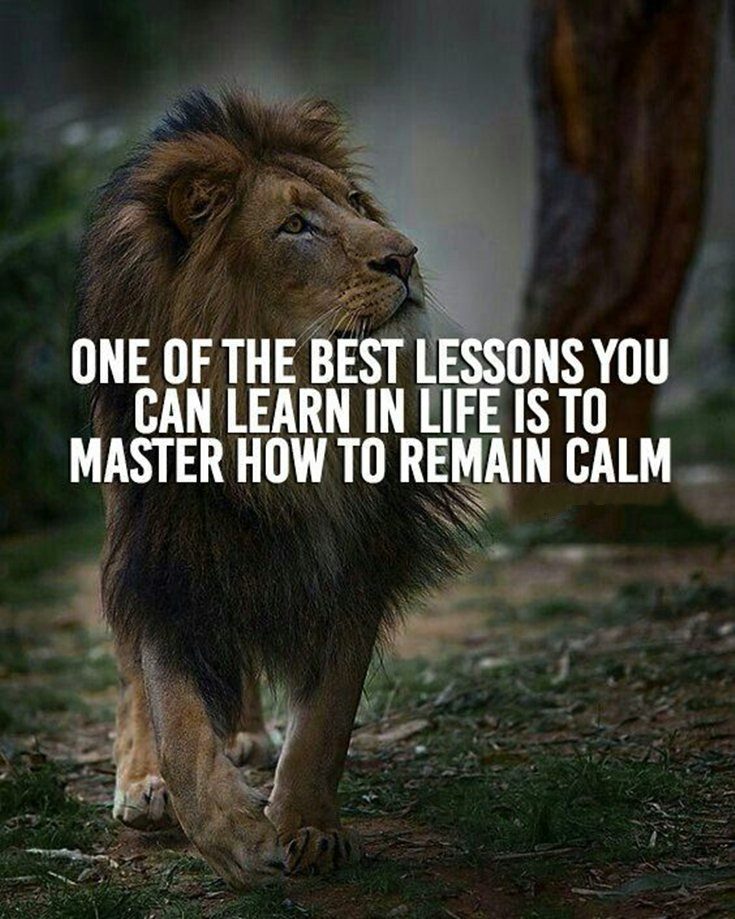 motivational quotes inspirational sports motivational quotes inspirational sports