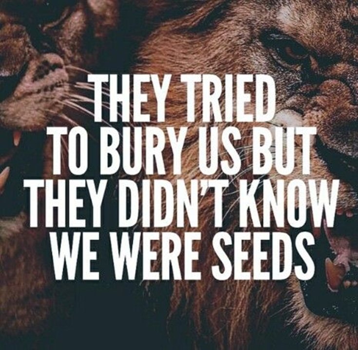 quotes about motivation and success quotes about motivation and success