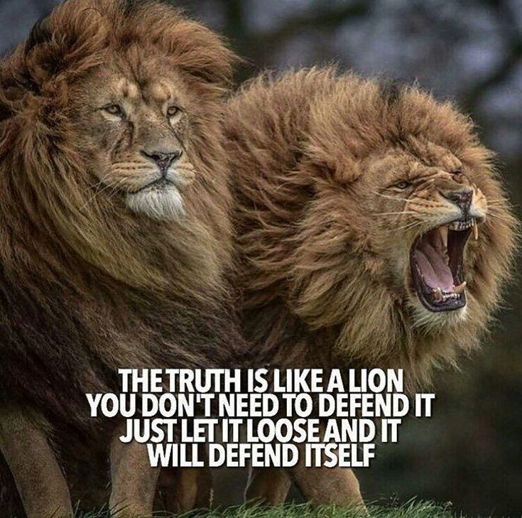 short motivational quotes about success short motivational quotes about success